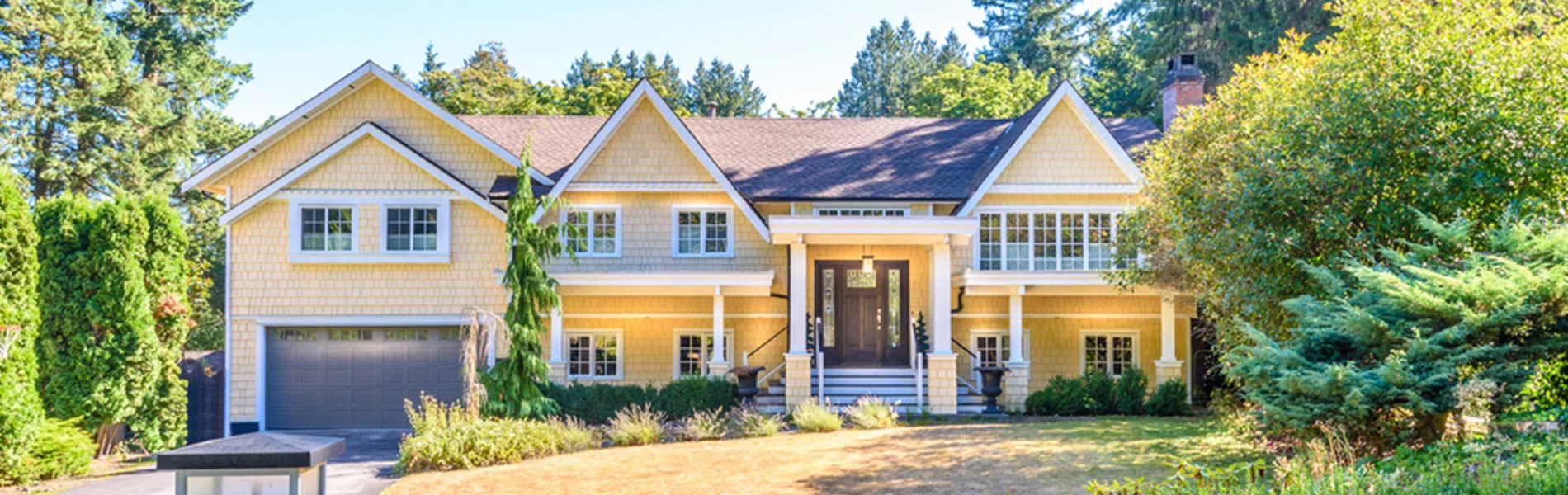 logo-image - banner-01